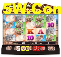 5CC Plataforma